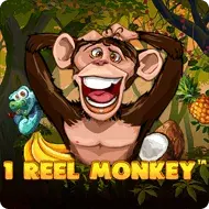 1 Reel Monkey 1 Reel Monkey